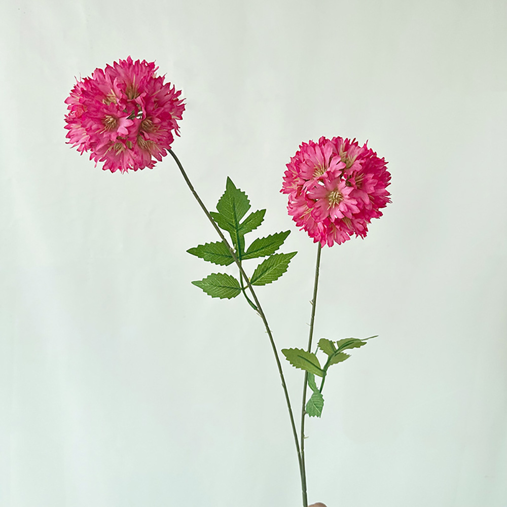 상서로운 수국 장미 2개