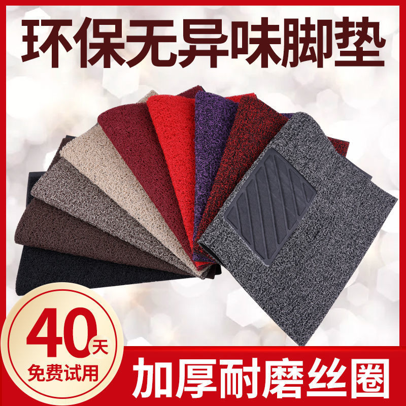 Wire loop currency door mat Crop non-slip mat The main frame Copilot Back row monolithic door mat clean Car mats