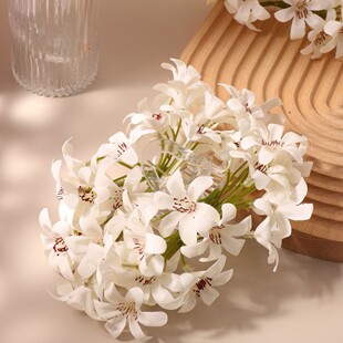 �紺�¿������m������ץ�A��߅�ȼ��L�Շ��аl��X�װ����^��