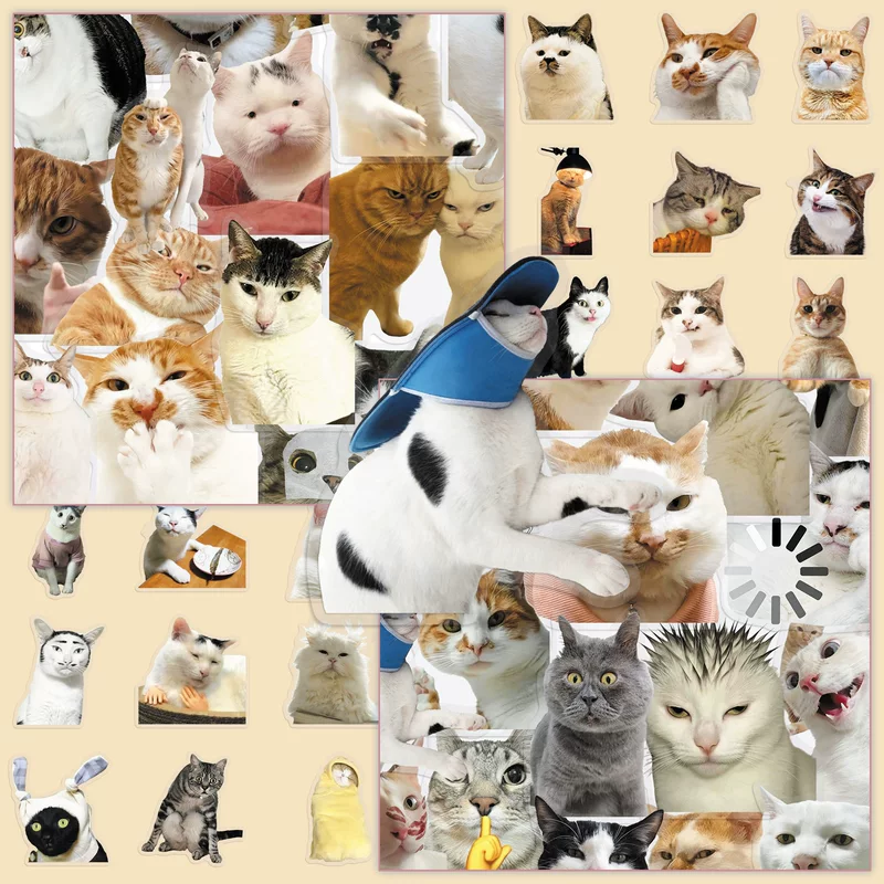 50 pieces of Hakimi animal PET transparent stickers realistic and creative cat expression bag storage box Guka DIY stickers