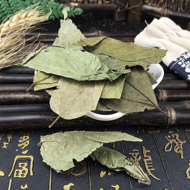 Bu Zha Ye Dried Microcos Leaf Slices 500g Traditional Chinese Herbal Tea Ingredient in use