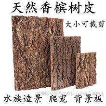 �㙉��Ƥ �������� ֩��ϐ�Ӷ���ړ��쾰�����㙉��ɵ��Չ�����