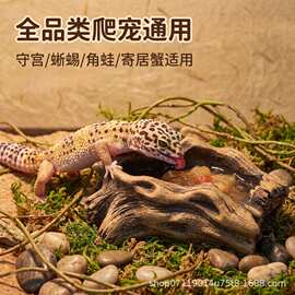 爬宠食盆饮水盆仿枯木造型造景泡澡盆小宠物果泥喂食盆厂家直销