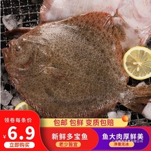 多宝鱼大比目鱼新鲜海捕鱼类大菱鲆石斑鱼活冻批发野生包邮海鲜