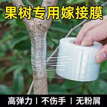 ����޽ӌ���Ĥ�lpe��ճ������������÷���o��Ĥ�����������z��