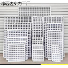 WƬWFzWВW؛ܰɫFWչʾܸӾWƬ젝