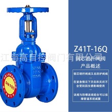 �S�ҹ������mӲ�ܷ��l�y ���U���o�l�y �~�U�~о�l�yZ41T-10Q/16Q