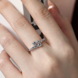 戒指;项链;耳钉