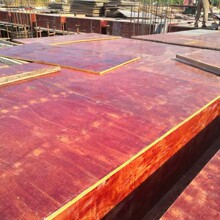 ����ģ��ľ��1.22&times;2.44��������S�����l���挒�ӿp�����_�ь�ľ