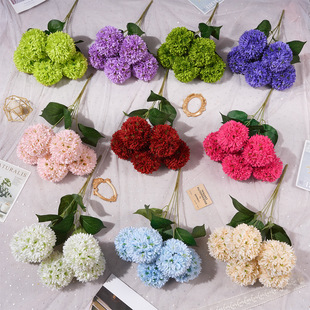 5�^�q��ٻ����滨���ֹ�����c�û����컨��Y�쾰�b��Ų���
