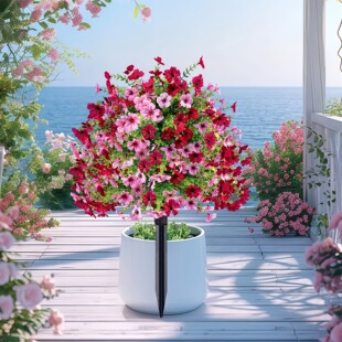 �羳�������_�m�ز���滨ͥԺ�����b�Y���������ܑ����b�