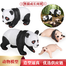 ���������؈���L���ڷ��������؈���L�^�̃�ͯ�J֪���Ͻ̾�ģ��