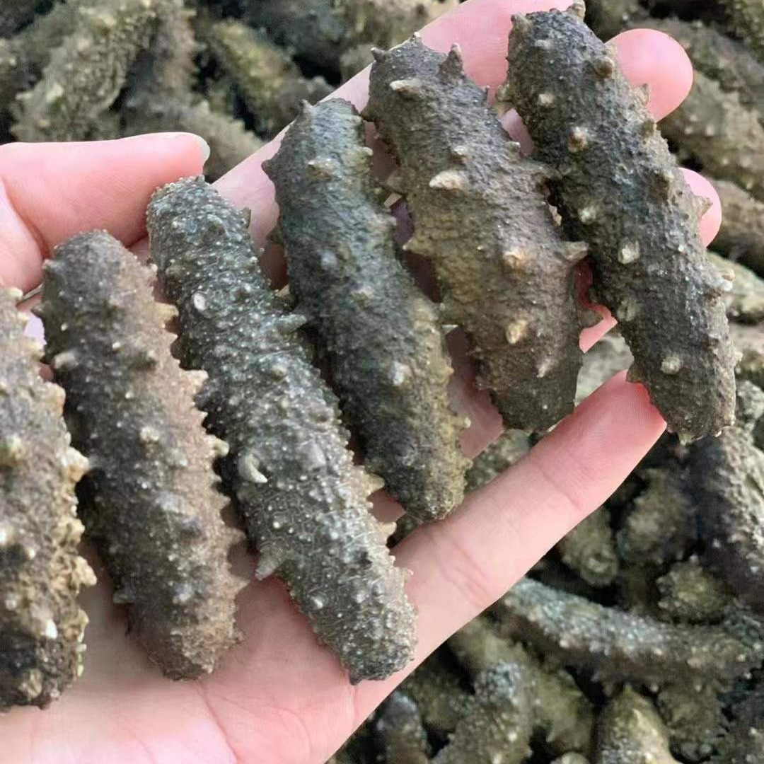 60-70头大连海参干货250g辽参刺参即食海参批发一件代发海参礼盒