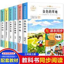 三年级阅读书宝葫芦的秘密大林和小林金色的草地花的学校铺满金色