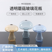 �G�}�~����ֲ���Bֲƿ����ˮ�������廨����ɫ͸������С̖��ƿ