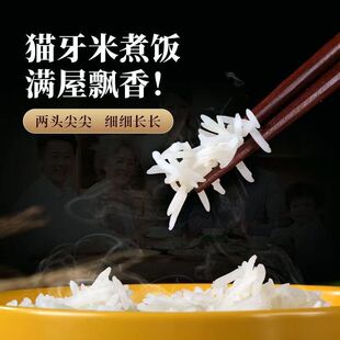 ؈����5�����״���5kg����10kgһ���L������������L��10�����l