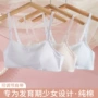 运动少女高中三阶段文胸