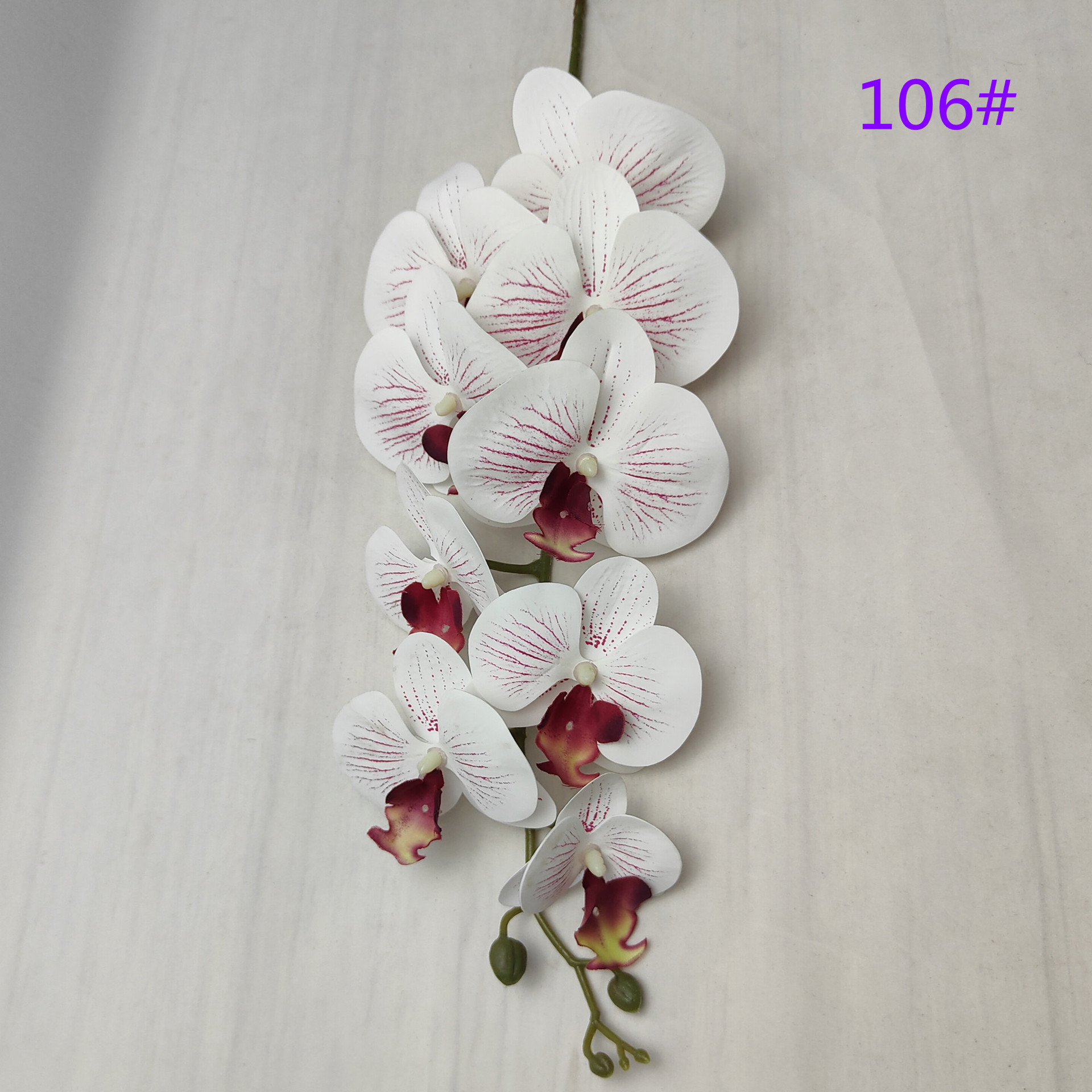 IMG20230509162947_副本