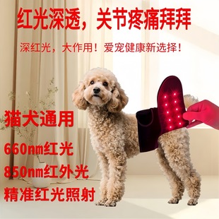Pet Red Light Hind Limb Spine Physiotherapy Cat and Dog Postoperative Rehabilitation Health Care Pain Relief Infrared Physiotherapy Pad