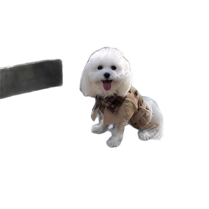 狗狗服装多样