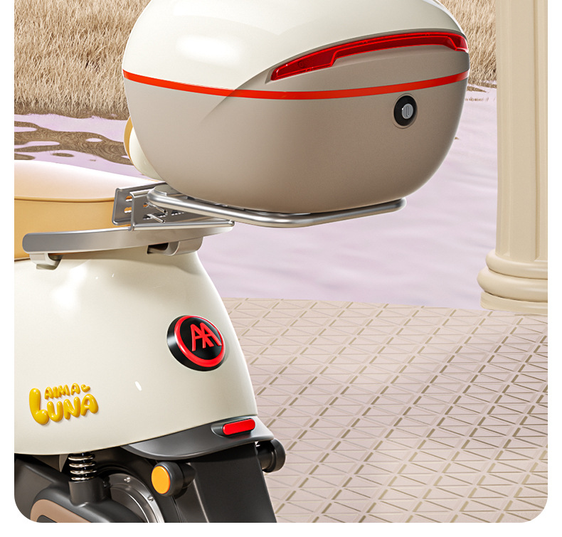 Universal Electric Scooter Trunk Suitable for Aima, Yadea, and Tailg Scooters, with Backrest and Storage for Electric Bikes