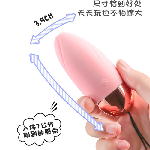 Laile Pink Girl Wireless Vibrator 10-band Invisible Wearable Vibrator Female Masturbation Device Adult Sex Toys