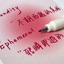 柔绘笔彩色秀丽笔Brush手绘涂鸦小楷软头勾线笔超仙批发