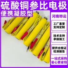��س���������ͭ�αȵ缫 �����Ͳαȵ缫 ��ЯCUS04�αȵ缫