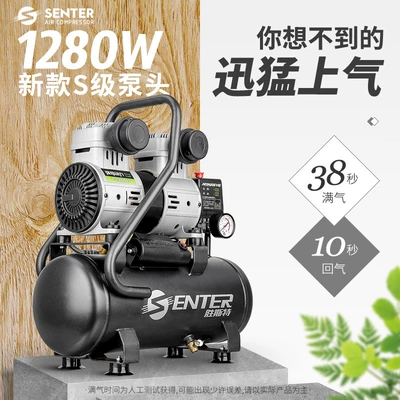Hava kompressorları Pump 220V Professional Woodworking
