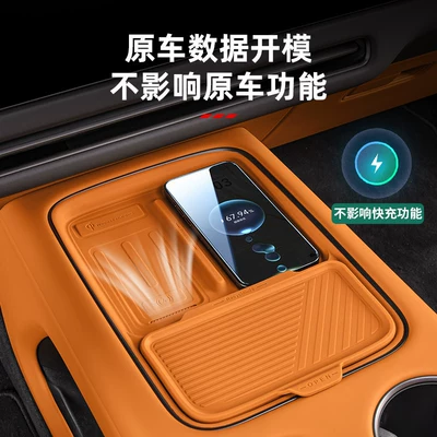 Other Automotive Interior Supplies: Interior Decoration Accessories