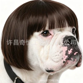 真发假发;假发长卷发;假发马尾