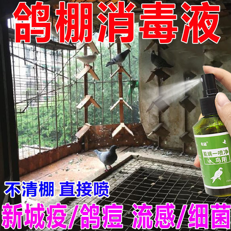 鸽用鸽舍消毒剂杀菌鸽子鸽棚鸽笼鸽场地面巢盆赛鸽信鸽用品观赏鸽
