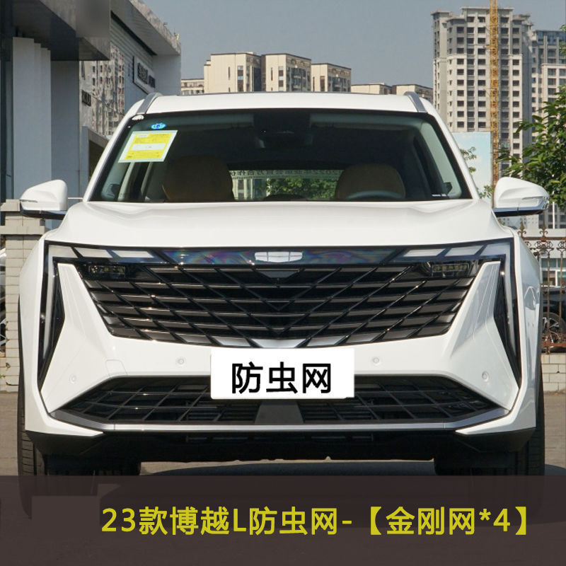 Bo Yue L/Pro/Asian Games Edition/X/Cool Car Insect-Proof Net, Anti-Debris Net, Water Tank Protection Net, Mesh Modification