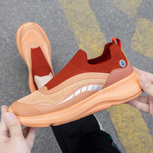 һ�_�ő����\�����eЬ���p���������͸������Ь�͎����_�W����Ь