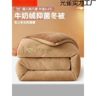 Catman Milk Velvet Quilt Winter Quilt Winter Thickeneded Warm Quilt Student Dormitory Single Quilt Core 2024 New Quilt