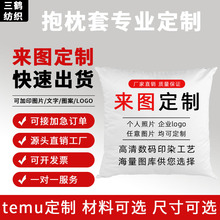 跨境抱枕套来图印花定制家居沙发毛绒抱枕派对装饰靠枕套一件起订