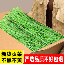 ������؛ؕ�˸Ƀ������ô�G���賴��ʳ�����r�r���������r���