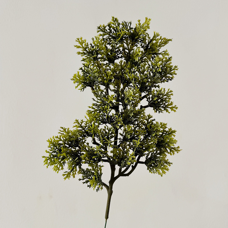 단일 작은 소나무 가지-녹색