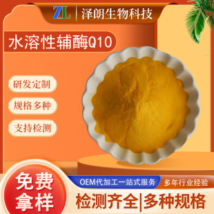 �oøQ10ԭ�Ϸ�ˮ���� ����10 303-98-0 COENZYME �oøq10��