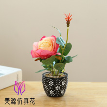 �ٻ���ͷ�辰С�辰����ڼ����滨ʱ��װ��Ʒ������ֲ����������