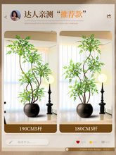 ?������Gֲ�p���҃ȴ���������Կ͏d�b[�������ٻ�