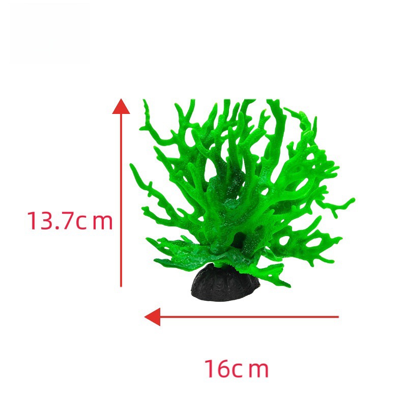 그린 코랄(전체 210개)