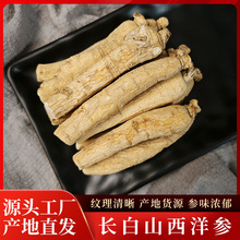 产地货源长白山西洋参段 长条散装入药用泡酒煲汤西洋参段批发