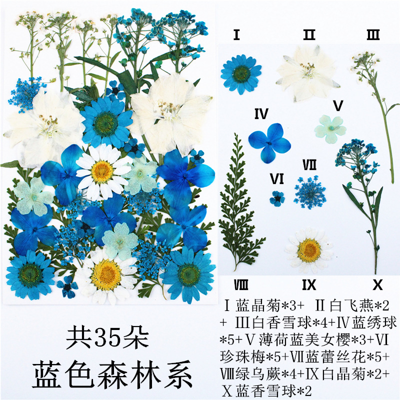 Paquete de material de estampado de flores secas Paquete de combinación de flores presionadas Flor real Hoja de espécimen pegatinas