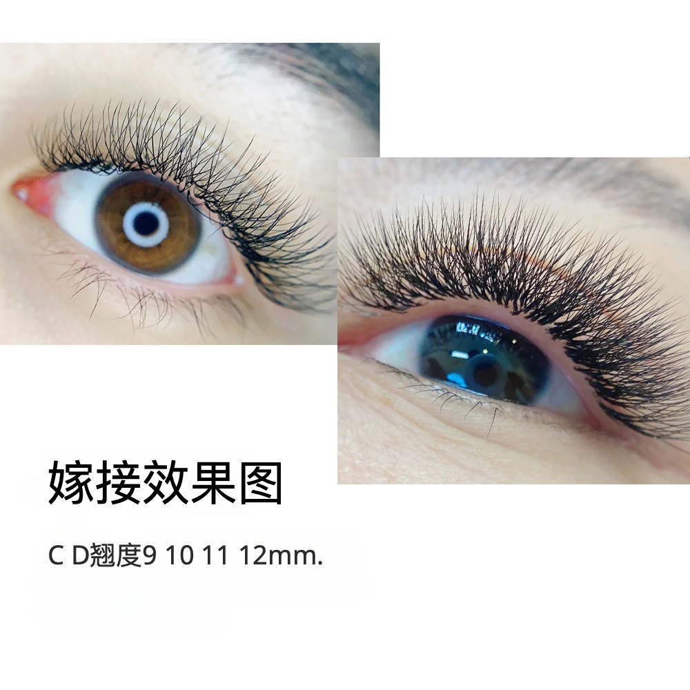 NAGARAKU w-type 6D pestañas de injerto de hierba de seis hojas actualización de raíz no dispersa suave un segundo pestañas de floración