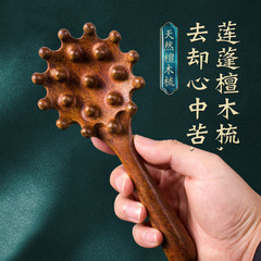 贝壳抓钱梳子檀木头部按摩梳整木一体按摩经络耙子颈部头疗按摩刷