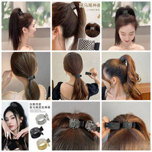 �ﶬ�����p���Rβ�A���X���Rβ�^������������|�����Rβ�A�Rβ��