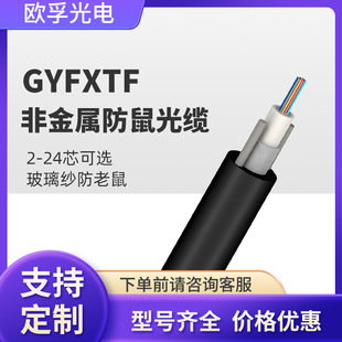 ����ǽ��ٷ�����|gyfxtf-2b1����2о��ģ���w��������ʽ������