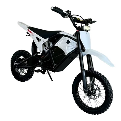 Motorcycles Gaosai, Elektrikli motosikletlər