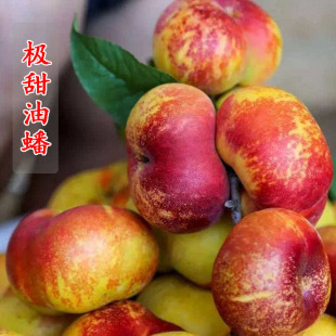 ����Ҙ���������Ҙ�޽������S��Ҙ����Ϸ������Nֲ�������